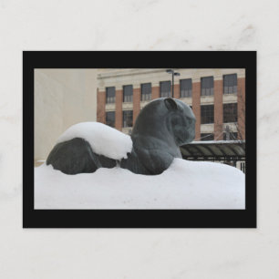 Natural History Museum, Ann Arbor, MI Postcard Postkarte