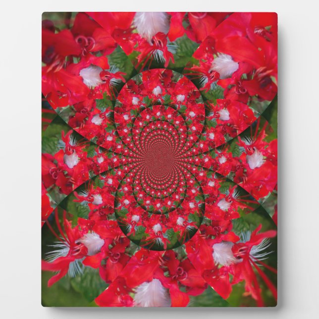 Natural Red Blume White Feather kaleidoscope art Fotoplatte (Vorderseite)