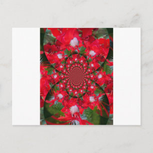 Natural Red Blume White Feather kaleidoscope art Postkarte