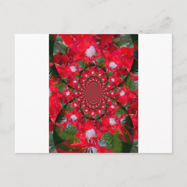 Natural Red Blume White Feather kaleidoscope art Postkarte (Vorderseite)
