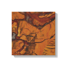 Natural Red Jasper and Quartz Foto