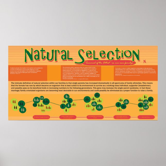 Natural Selection Poster (Vorne)
