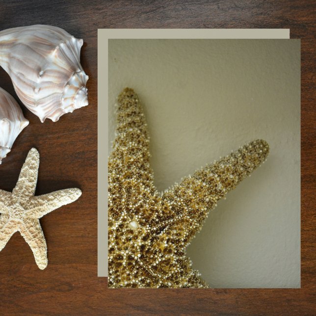 Natural Starfish Coastal Beach Scrapbook Paper (Von Creator hochgeladen)