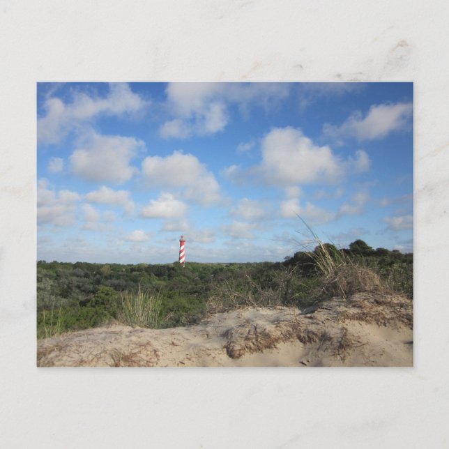 Naturbild mit einem kleinen Leuchtturm Postkarte (Vorderseite)