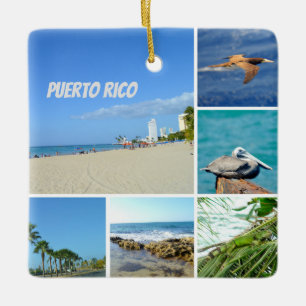 NaturCollage von San Juan, Puerto Rico Keramikornament