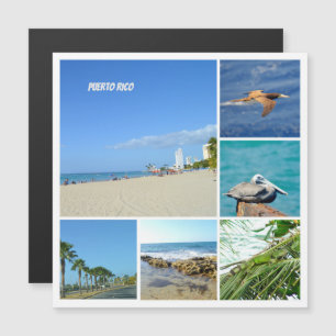 Naturcollage von San Juan, Puerto Rico Magnet