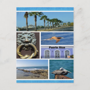 NaturCollage von San Juan, Puerto Rico Postkarte