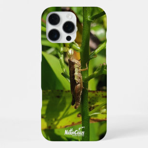NaturCraze Braune Heuschrecke iPhone-Hülle iPhone 16 Pro Max Hülle