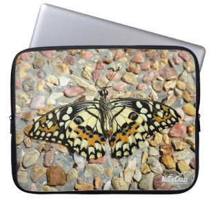 NaturCraze Schmetterling (Limoner Schmetterling) Laptopschutzhülle