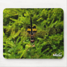 NaturCraze Schwarz-Gelbe Libfliegenmousepad