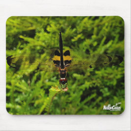 NaturCraze Schwarz-Gelbe Libfliegenmousepad Mousepad