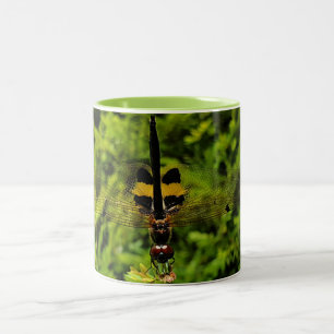 NaturCraze Tasse