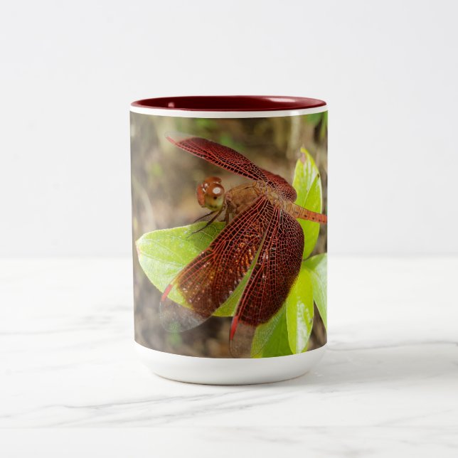 NaturCraze Tasse Rot und Schwarz (Mittel)