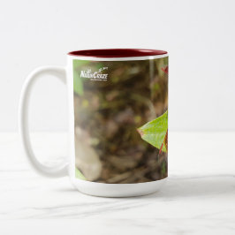 NaturCraze Tasse Rot und Schwarz