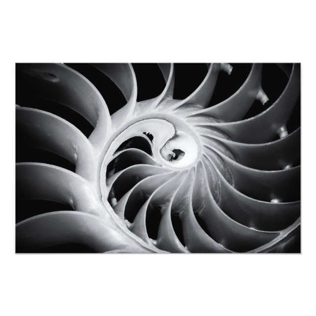 Naturdesign Fotodruck (Vorne)