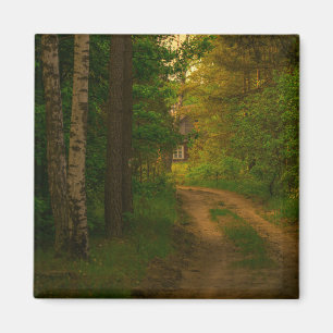 Naturdorf Hütte Wald Weißrussland Birch Magnet