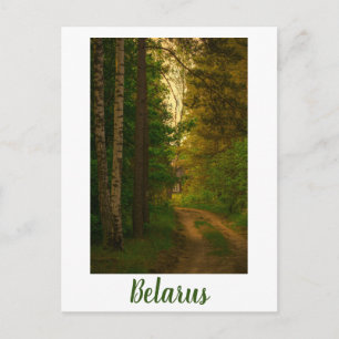 Naturdorf Hüttenwald Weißrussland Postkarte