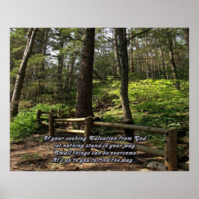 Naturdrucke Poster (Vorne)