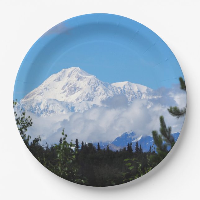Nature Alaska Denali Landschaft Foto Pappteller (Vorderseite)