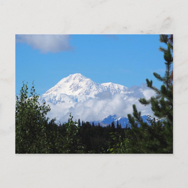 Nature Alaska Denali Landschaft Foto Postkarte (Vorderseite)