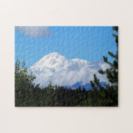 Nature Alaska Denali Landschaft Foto Puzzle