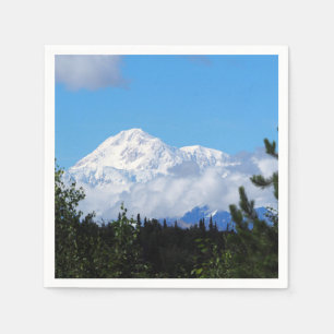 Nature Alaska Denali Landschaft Foto Serviette