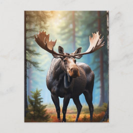 *~* Nature AP49 MOOSE Head Turned Forest Hütte Postkarte
