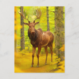 *~* Nature AP49 MOOSE Wald Fall Gelb Postkarte