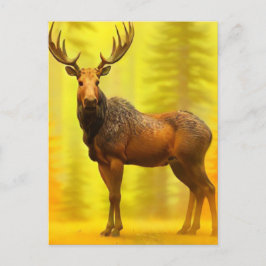 *~* Nature AP49 MOOSE Wald Fall Gelbe Sonne Postkarte