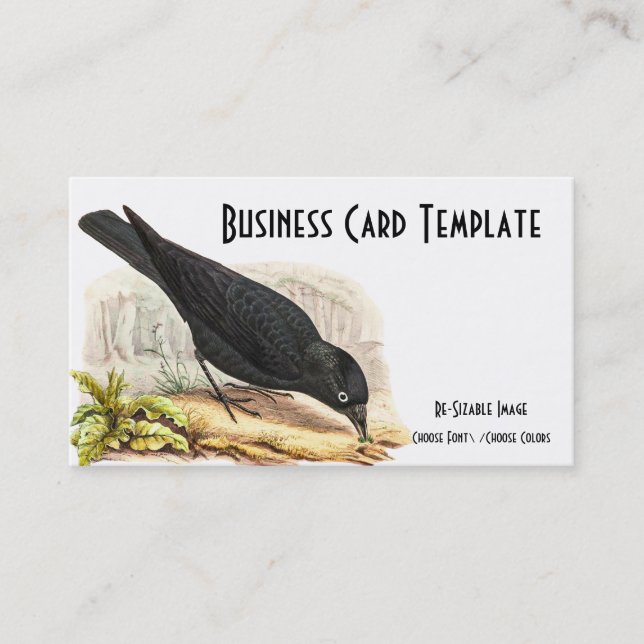 Nature Blackbird Raven Business Card Visitenkarte (Vorderseite)