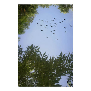 Nature Blue Sky mit Vögeln & Bäumen Poster