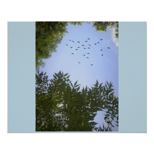 Nature Blue Sky mit Vögeln & Bäumen Poster (Vorderseite)
