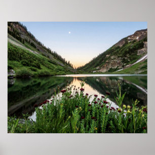 Nature Bouquet // Blumenwald Poster