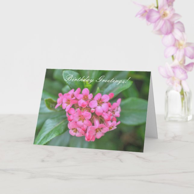 Nature Bouquet von Pink Dainty Blume Geburtstag Karte (Orchidee)