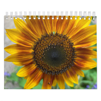Nature Calendar Kalender