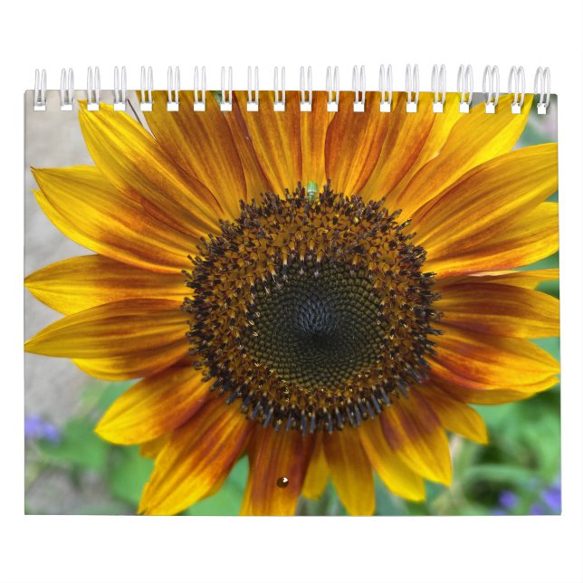 Nature Calendar Kalender (Titelbild)