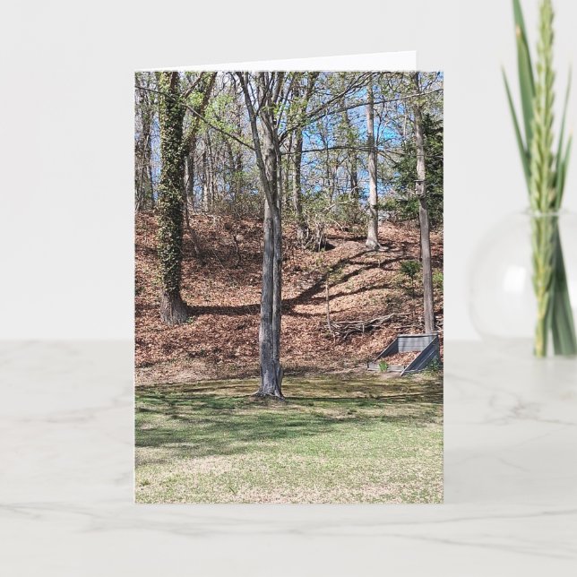 Nature Card Karte (Vorderseite)