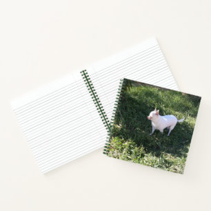 Nature Chihuahua Spiral Notebook Notizbuch