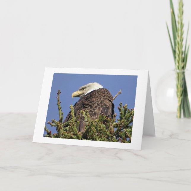 Nature Climate Note Card Dankeskarte (Vorderseite)