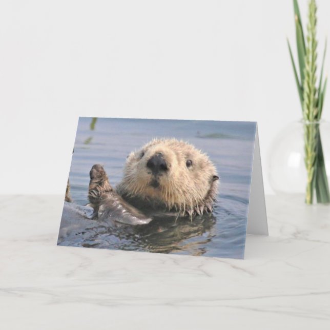 Nature Climate Note Card Dankeskarte (Vorderseite)