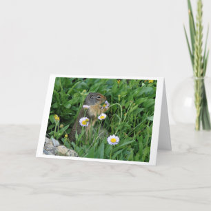 Nature Climate Note Card Dankeskarte