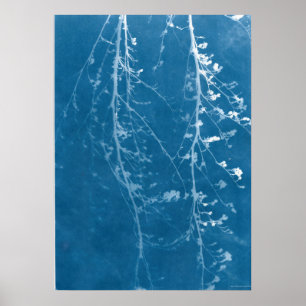 Nature Cyanotype in Blue Print & Digital Download Poster