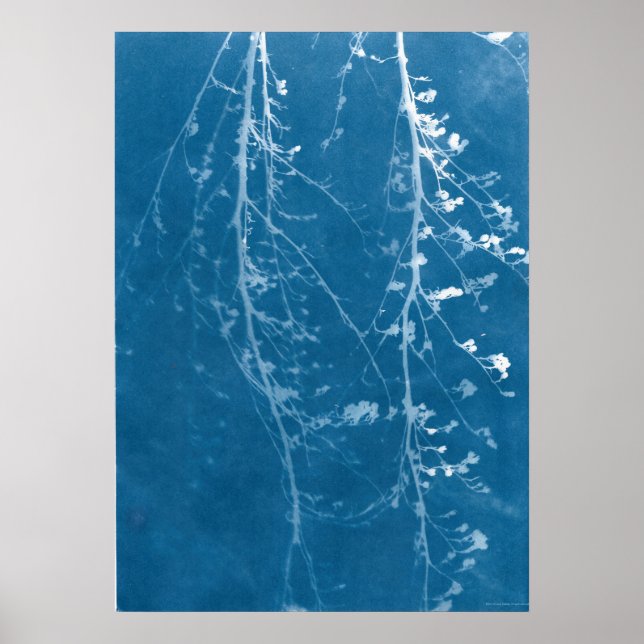 Nature Cyanotype in Blue Print & Digital Download Poster (Vorne)