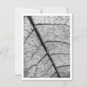 Nature Fine Art Fotografie Postkarte