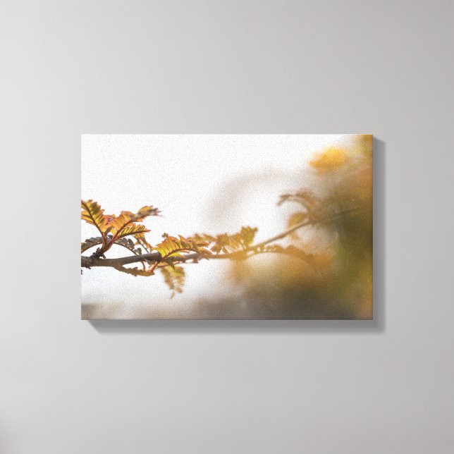 Nature Foto Herbst Branchlet Leinwanddruck (Vorderseite)