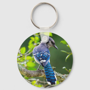 Nature Fotografy Shy Blue Jay Apparel Geschenke Schlüsselanhänger