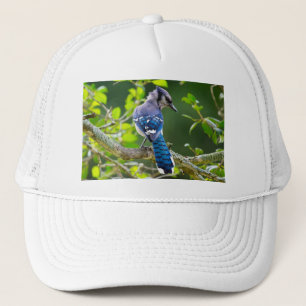 Nature Fotografy Shy Blue Jay Apparel Geschenke Truckerkappe