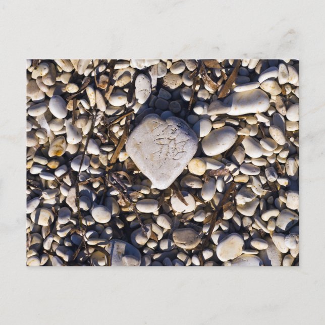 Nature Heart Card Postkarte (Vorderseite)