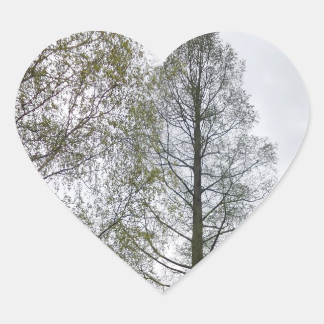 Nature Heart Sticker (Vorderseite)