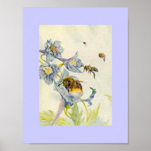 Nature Honey Bees and Morning Glory Blume Lilac Poster